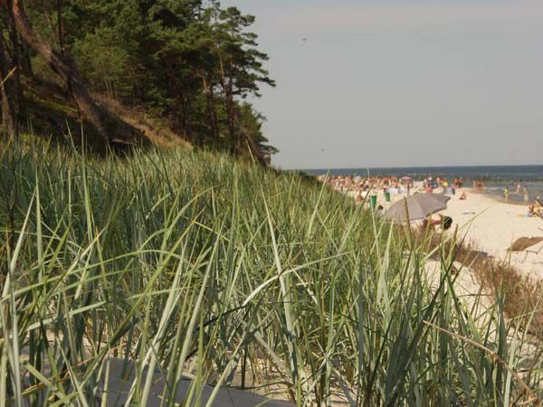 Дзвижино