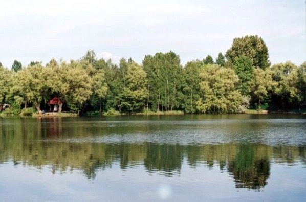 Сосновец