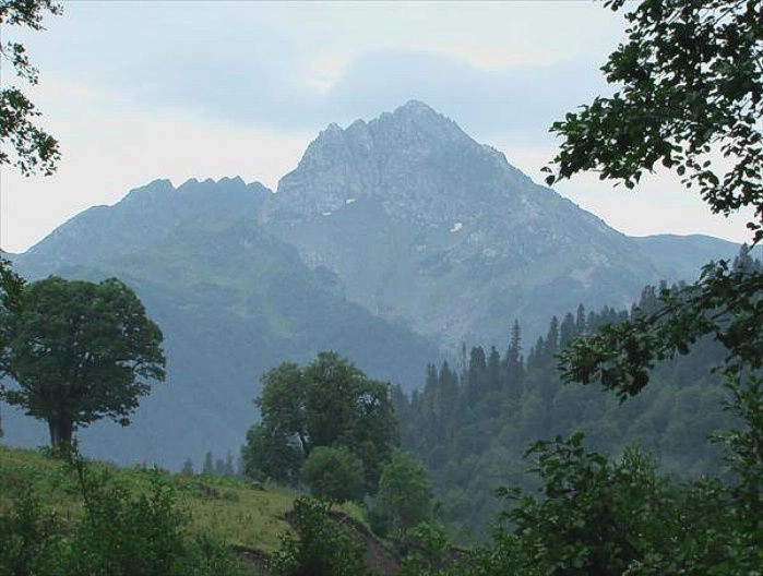 Ауадхара