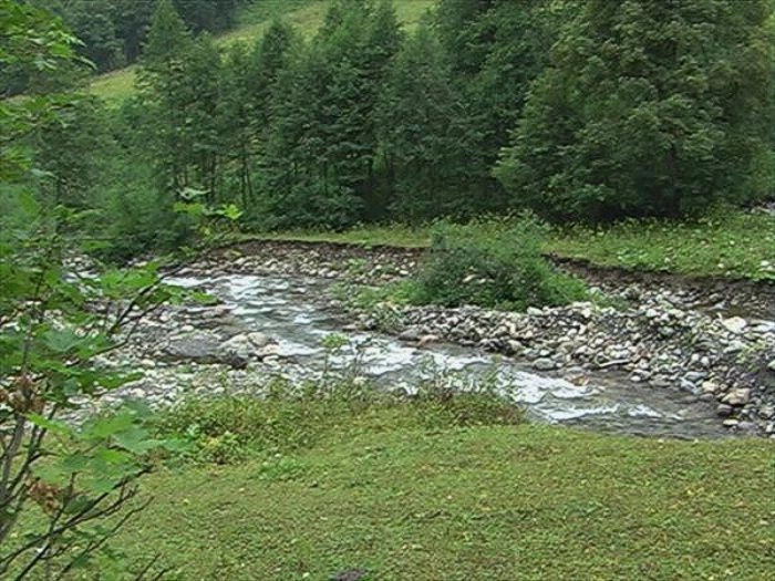 Ауадхара
