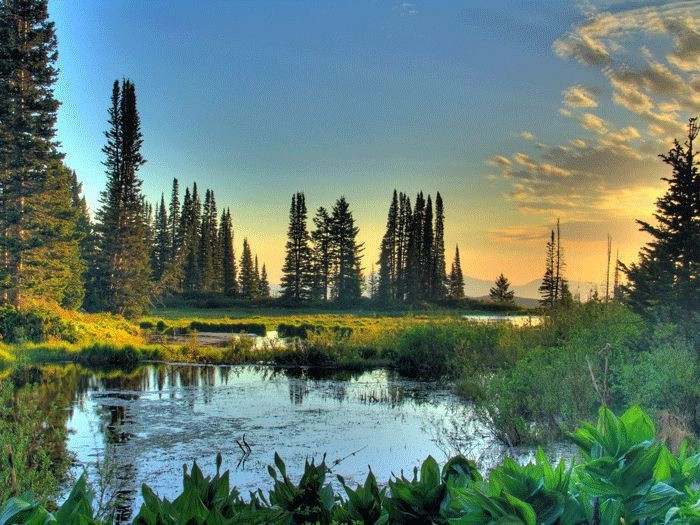 Бланкенберге
