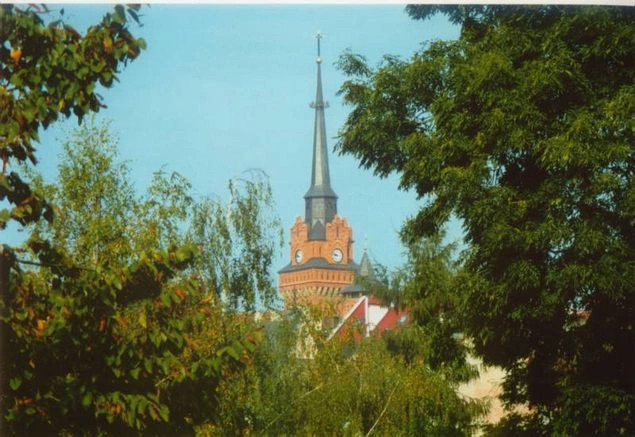 Тарнув