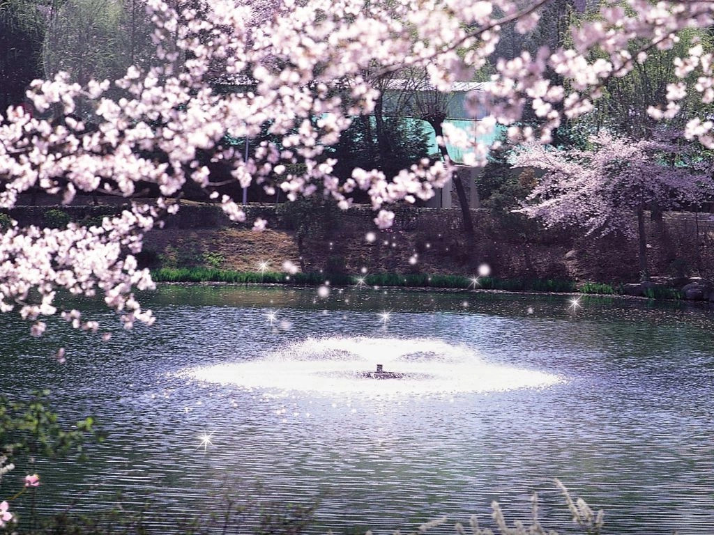 Кёнджу