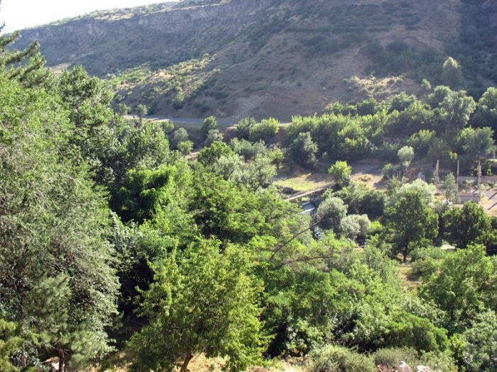 Арзни