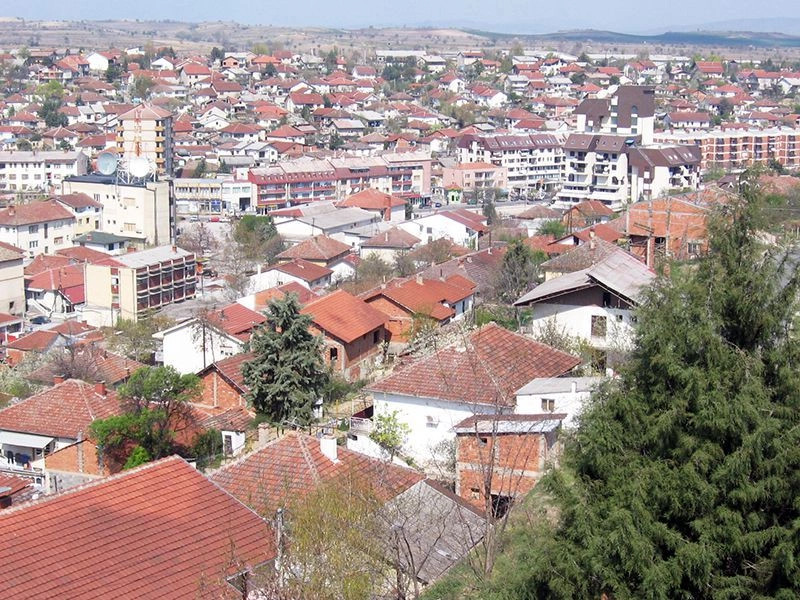 Неготино (город)