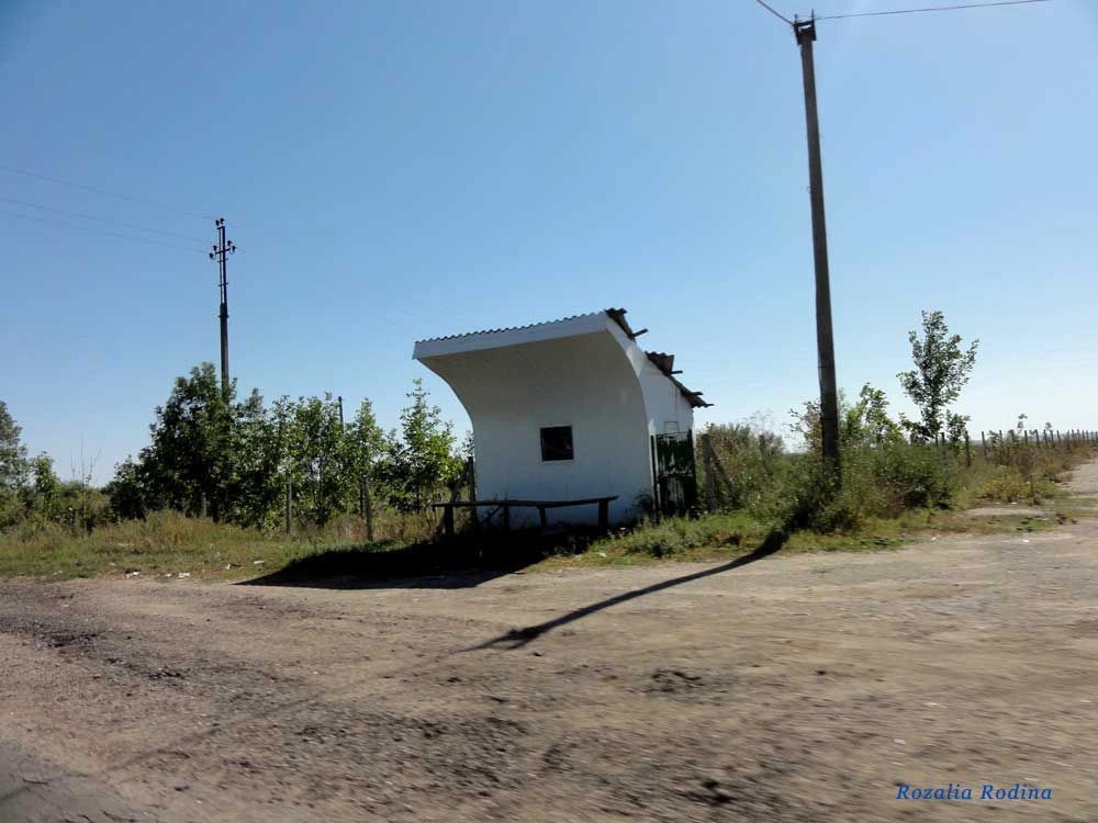 Штефан-Водский район
