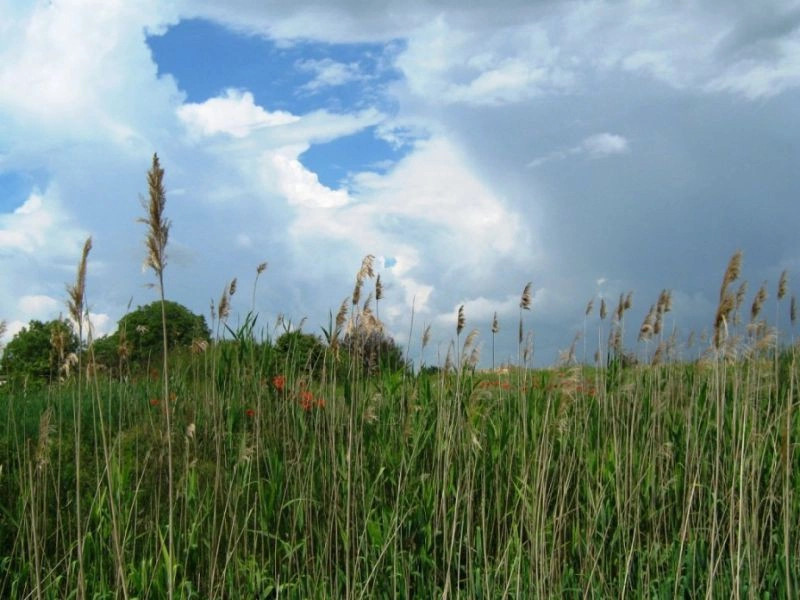 Весёлое (Джанк.)