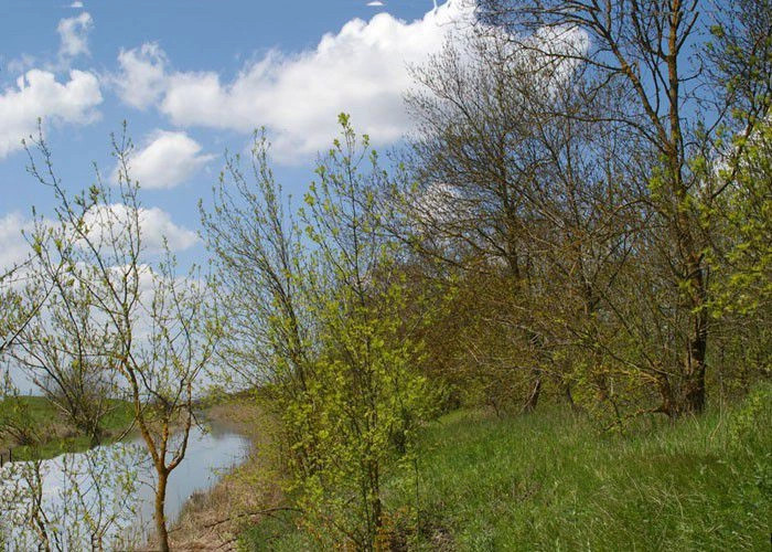 Ячменное (Порпач)