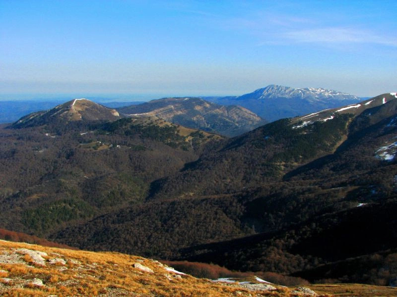 Алуштинский горсовет (Большая Алушта)