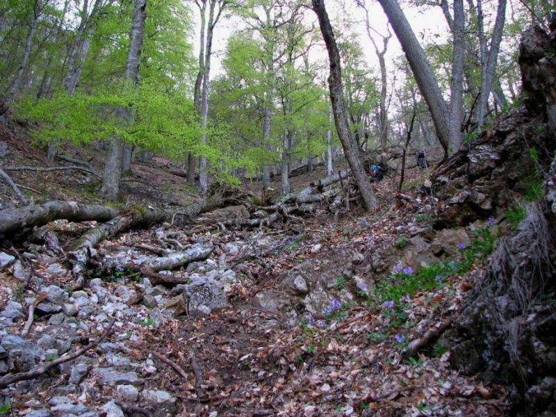 Алуштинский горсовет (Большая Алушта)