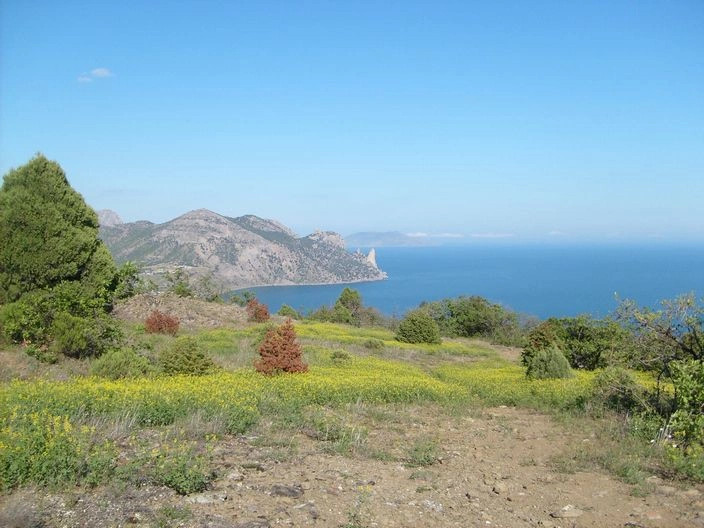 Весёлое (Кутлак)