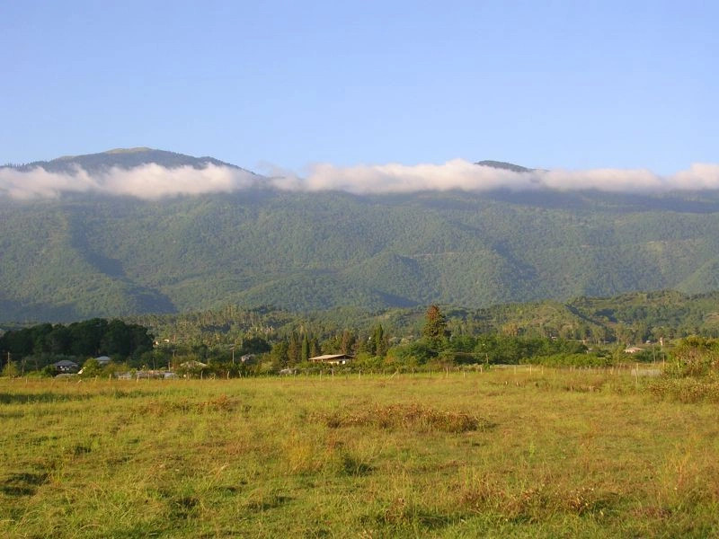 Алахадзы