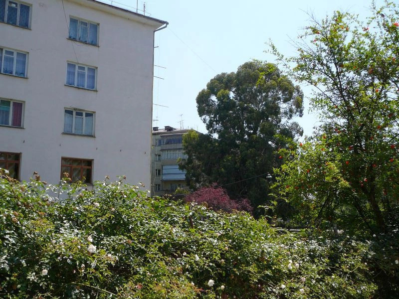 Агудзера