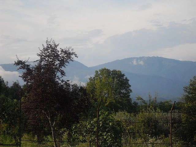 Кутол