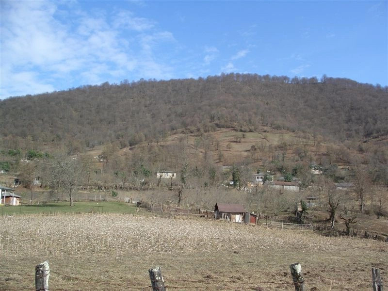Отап