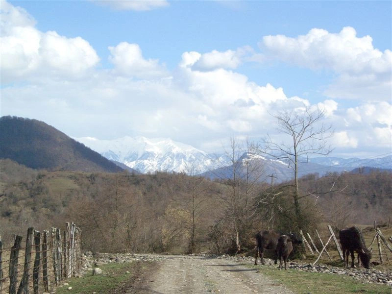 Отап