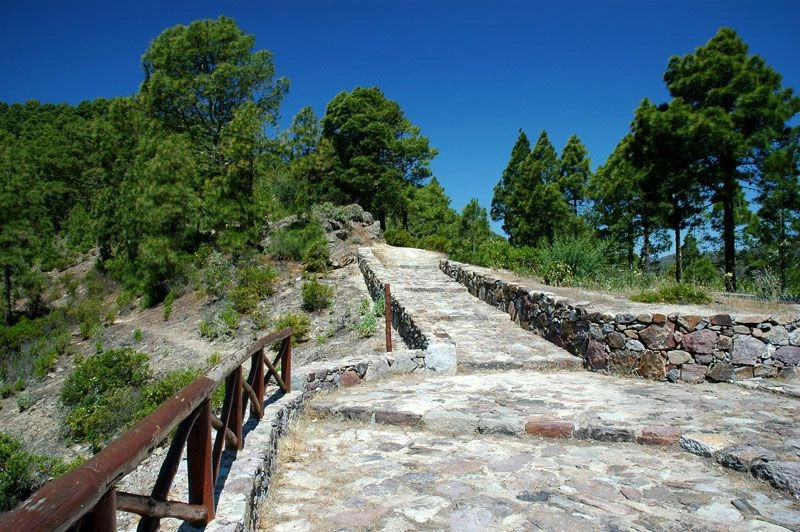 Артенара