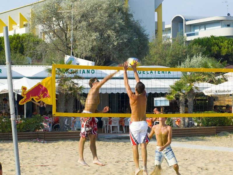 Бибионе