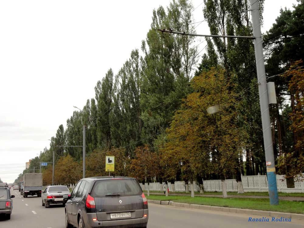 Брянск городской округ