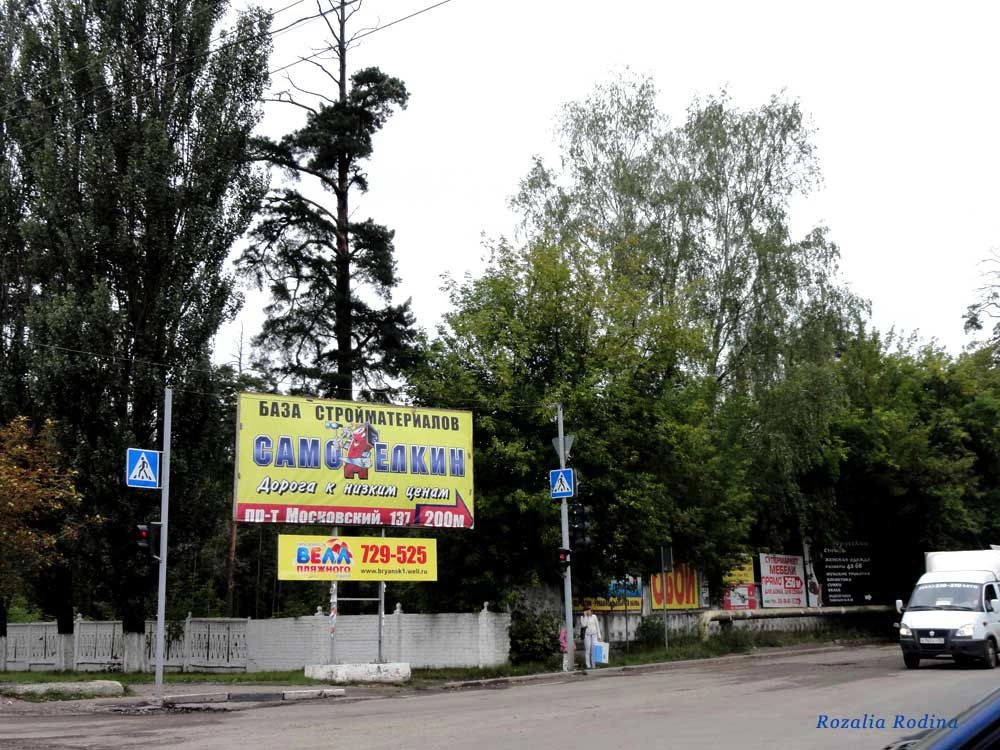 Брянск городской округ