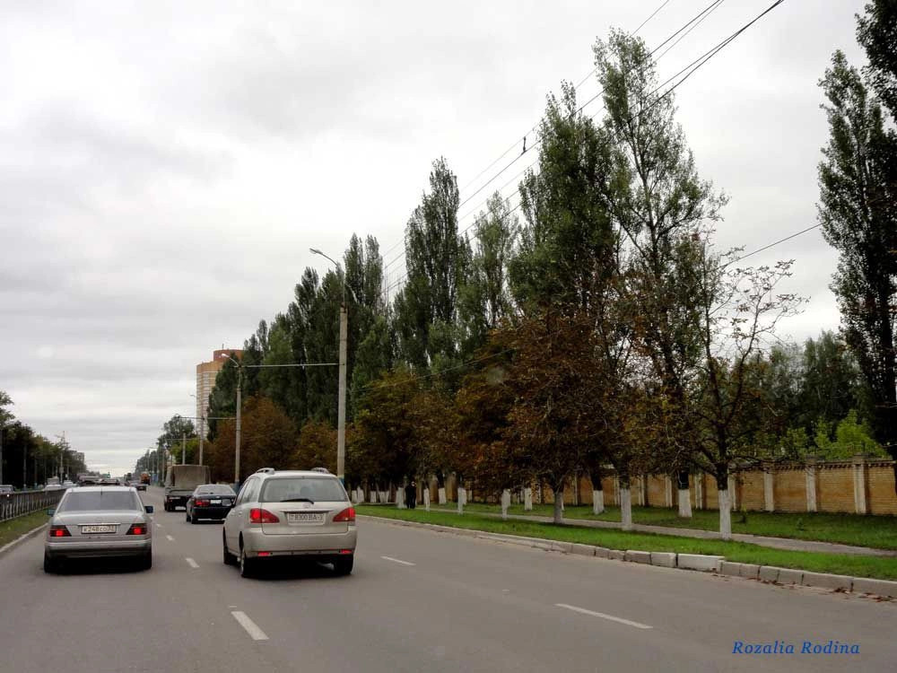 Брянск городской округ