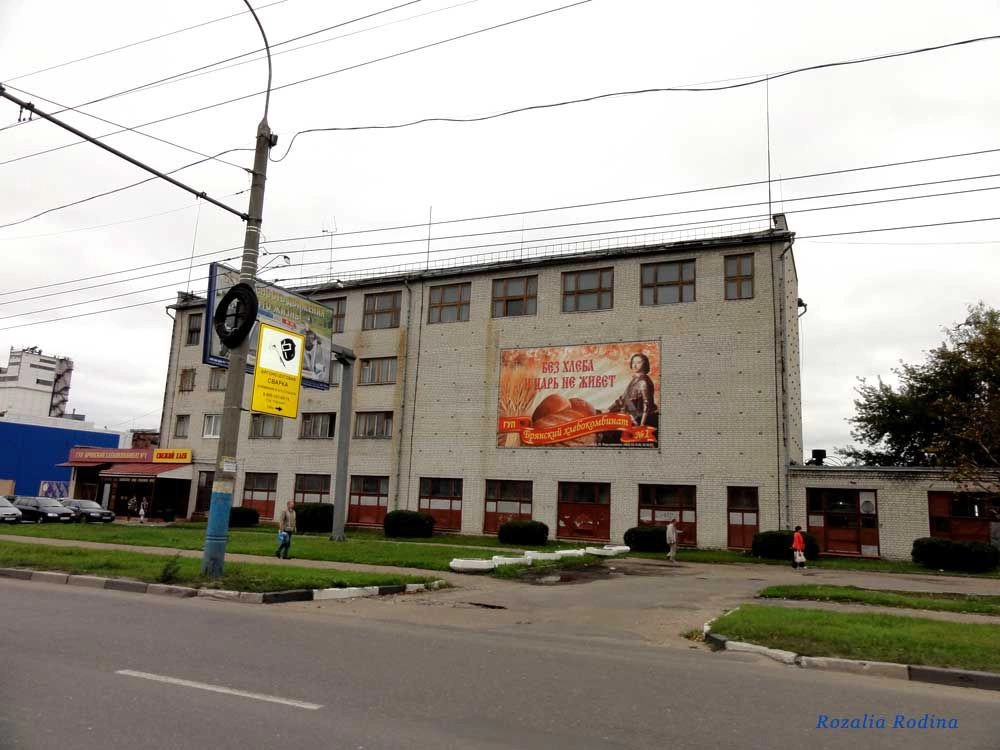 Брянск городской округ
