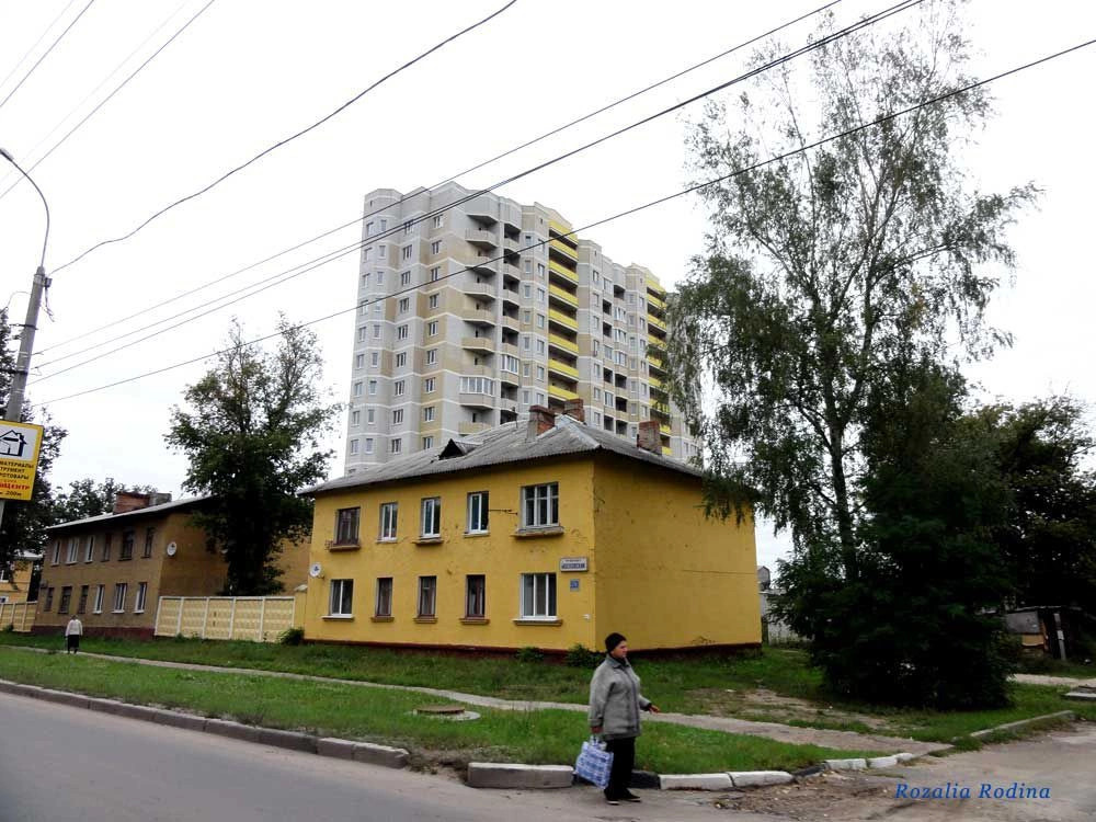 Брянск городской округ