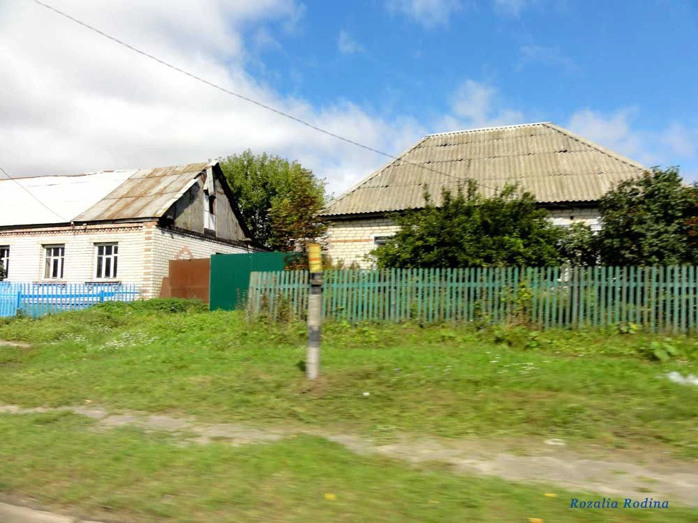 Брянск городской округ