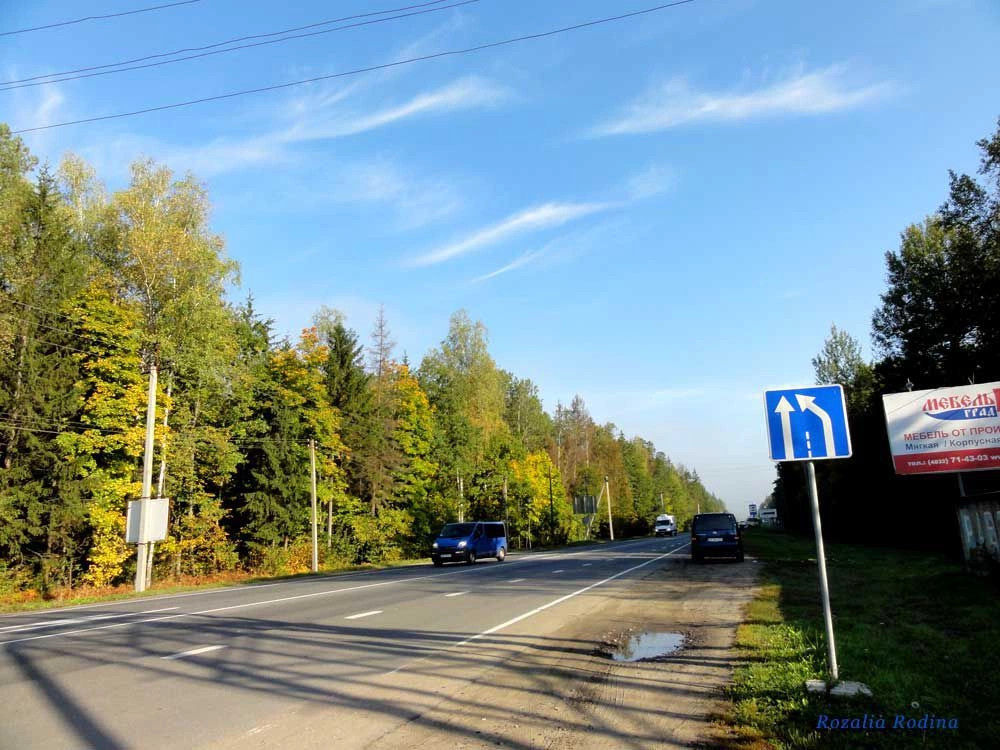 Брянск городской округ