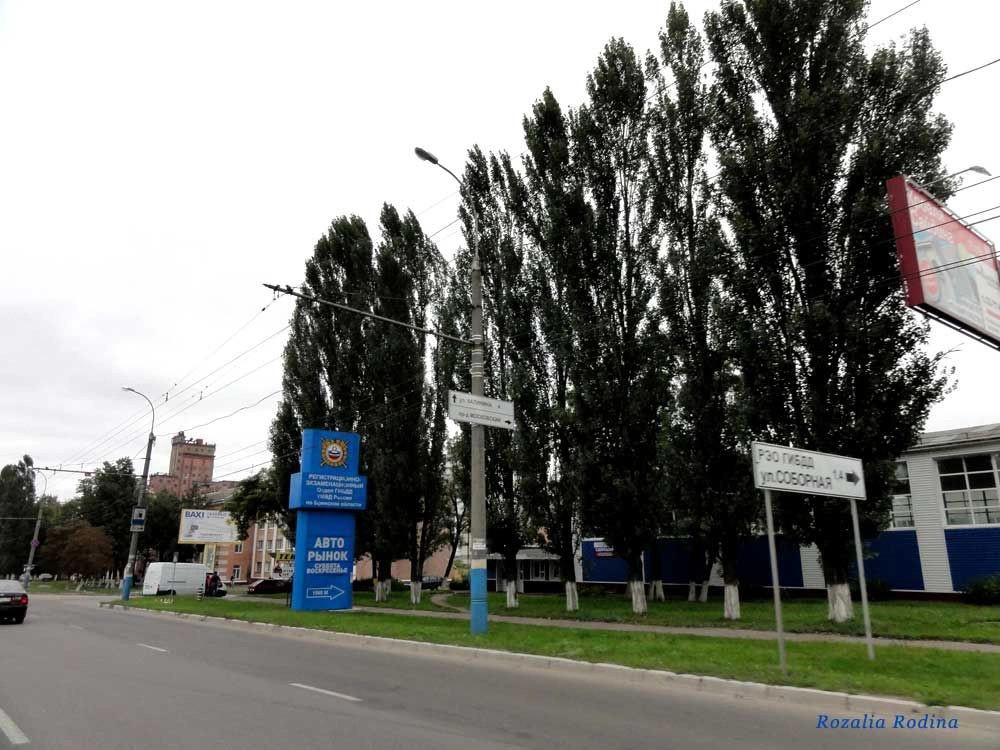 Фокино город
