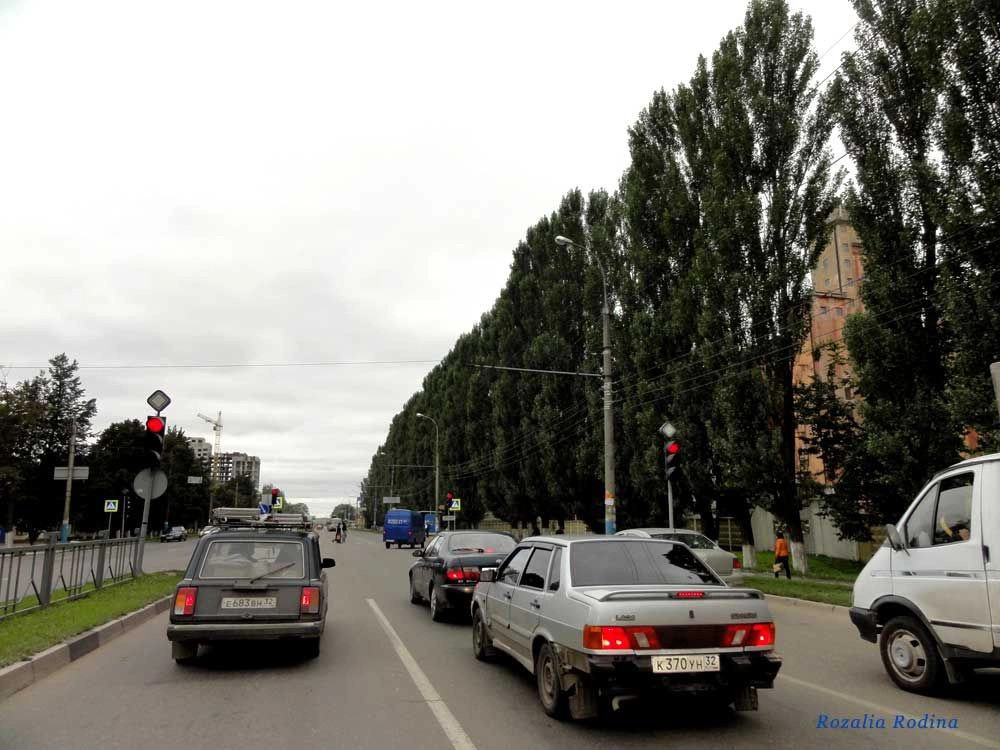 Фокино город