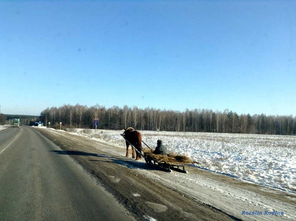 Выгоничский район