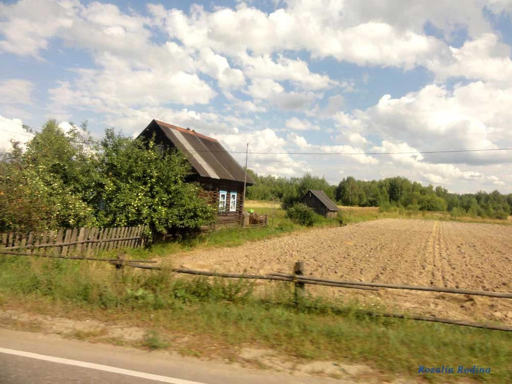 Городецкий район
