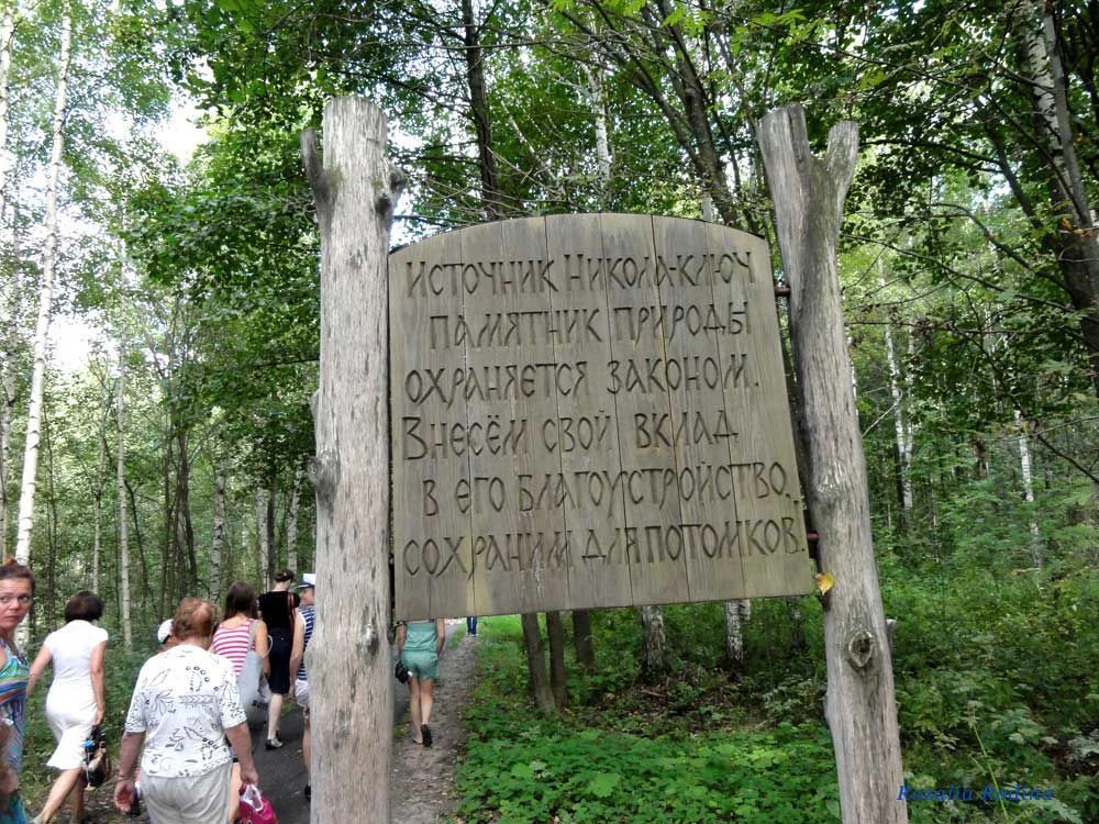 Городецкий район