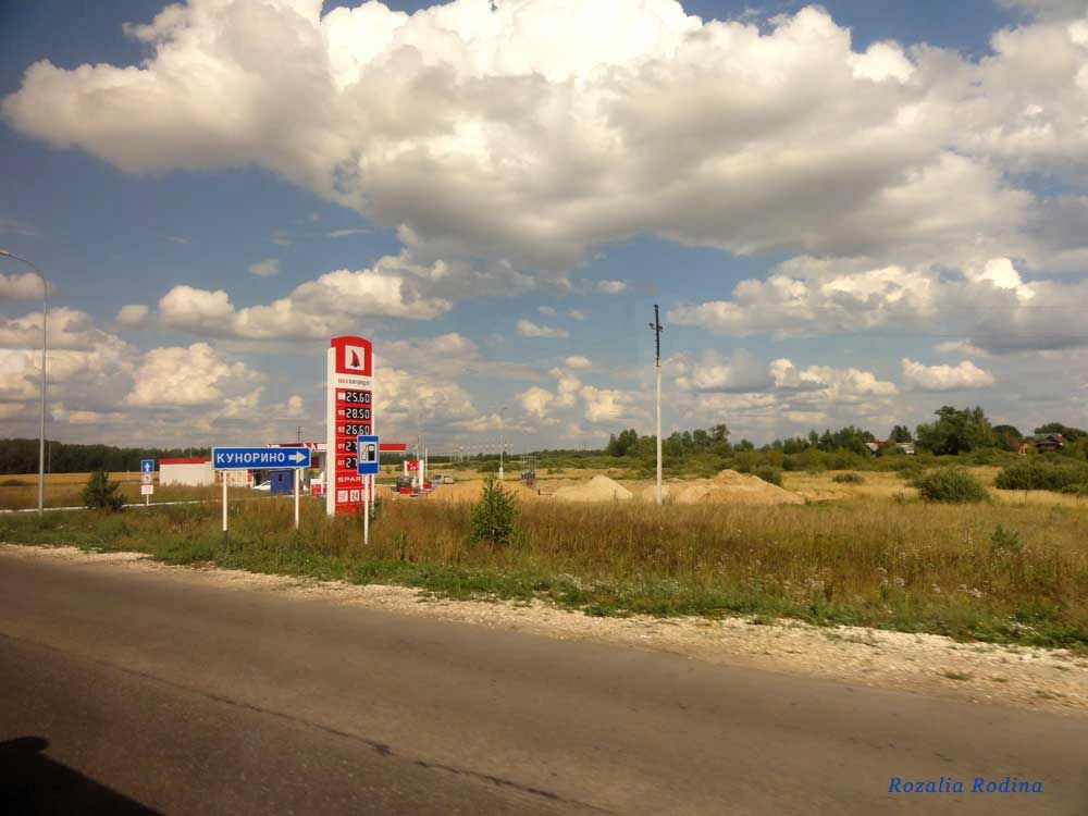 Городецкий район