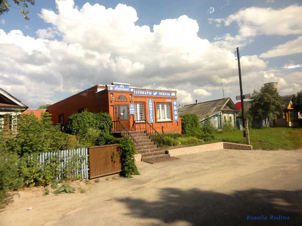 Городецкий район