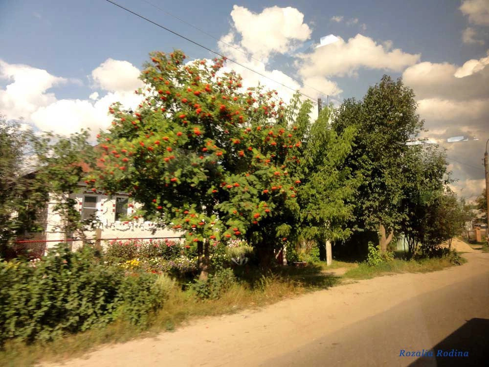 Городецкий район