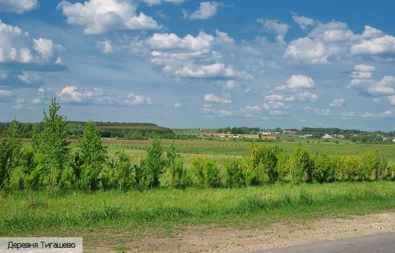 Батыревский район