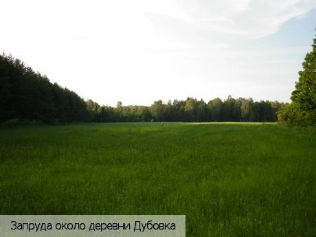 Дубовка деревня (Комсомольский р-н)