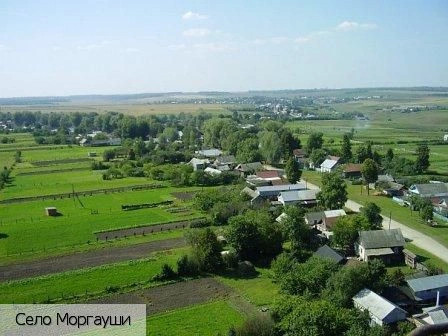 Моргаушский район
