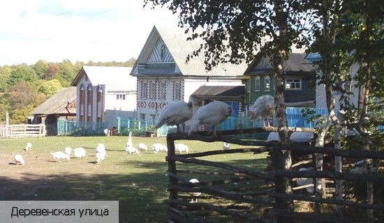 Малиновка деревня (Моргаушский р-н)