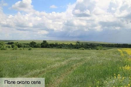 Порецкое село (Порецкий р-н)