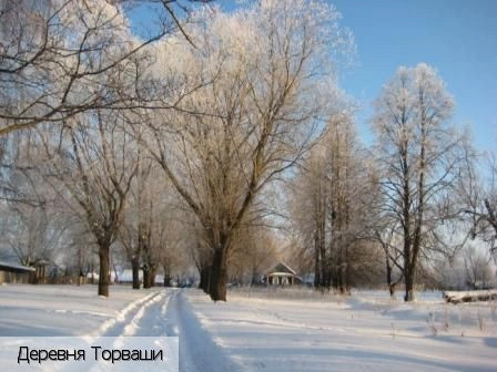 Торваши деревня