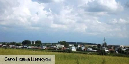 Яльчикский район
