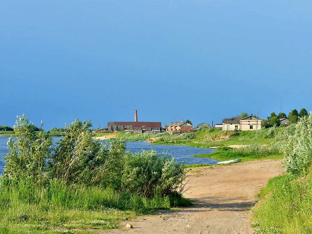 Пинега (Архангельская область)