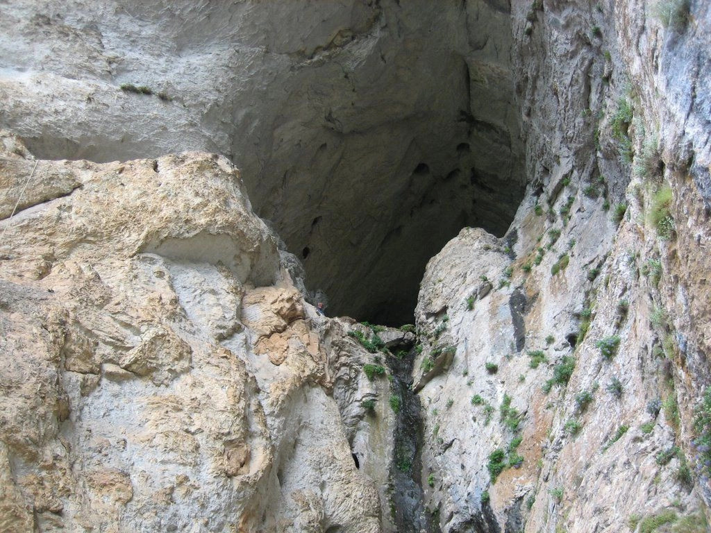 Девин (община)