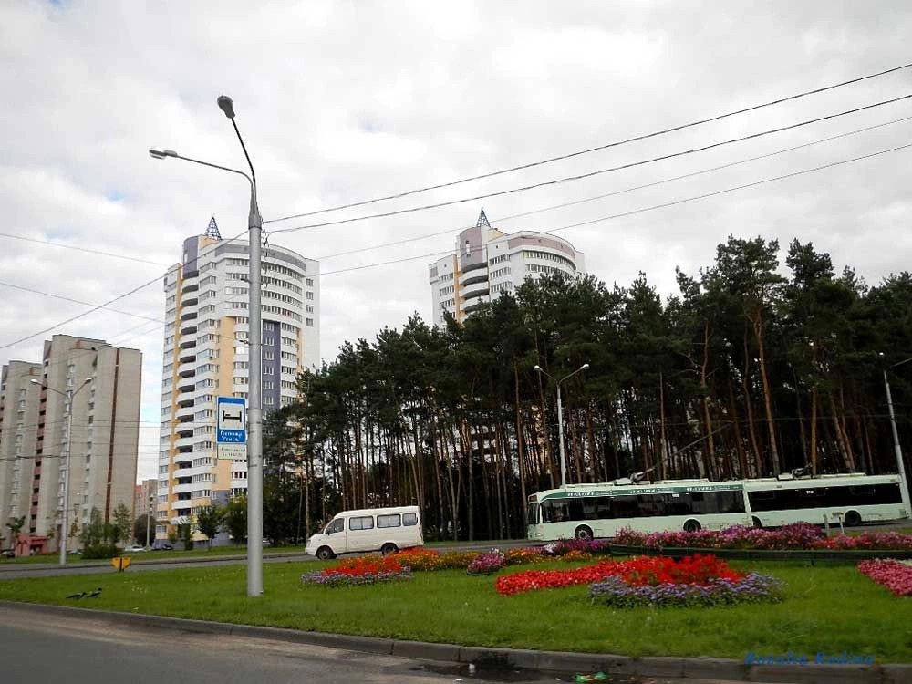 Гомель
