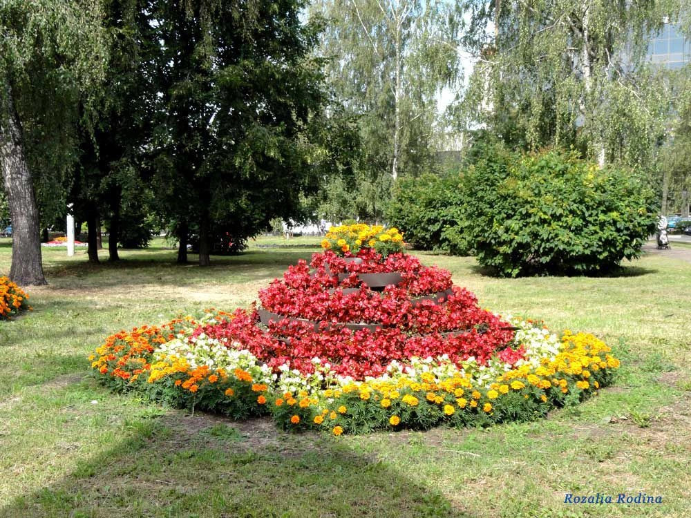 Ярославль