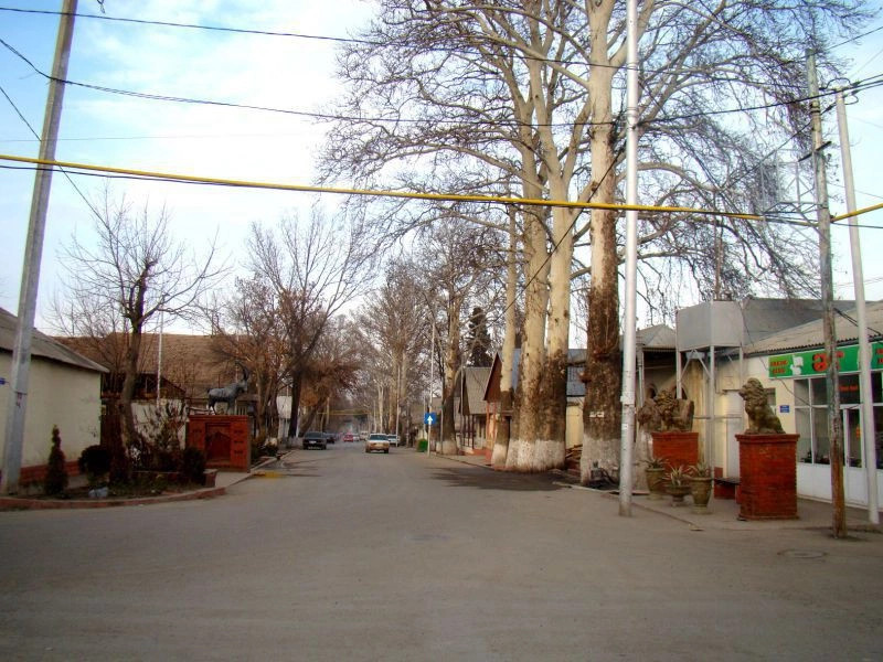 Шамкирский район