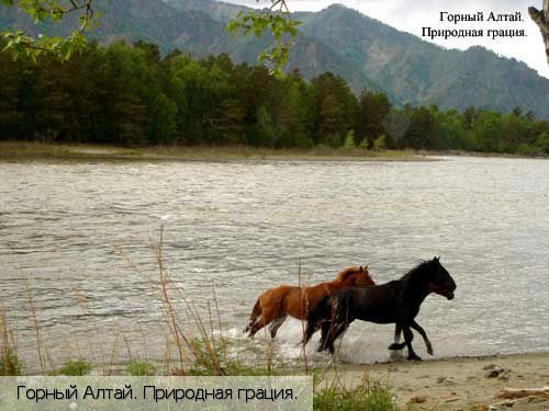 Республика Алтай
